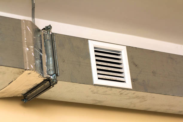 Best Air Duct Mold Removal  in Dranesville, VA